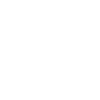 顯示密碼